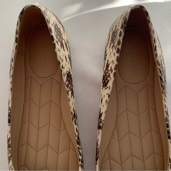 Coach Annabel Snakeskin Ballet Flats - Picture 9 of 11